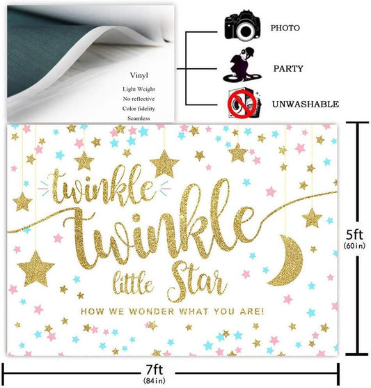 Twinkle Twinkle Little Star Gender Reveal Backdrop Pink Blue Gold Star Party Decorations - Hibrides