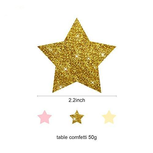 12PCS Dusty Rose Blush Pink Tissue Pom Poms for Wedding Bridal Shower Baby Shower Birthday - Hibrides