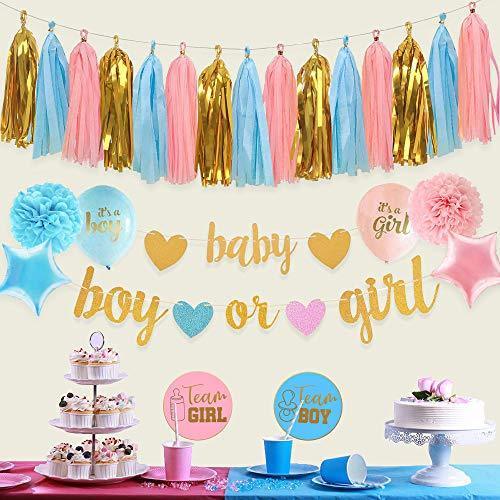 Gender Reveal Party Decorations - Glitter Letters Baby Boy or Girl Banners - Hibrides