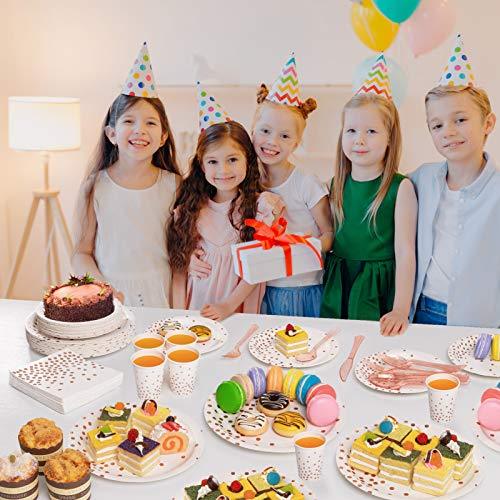 350 PCS Disposable Dinnerware Set for Birthday Bridal Shower Bachelor Wedding Party - Hibrides