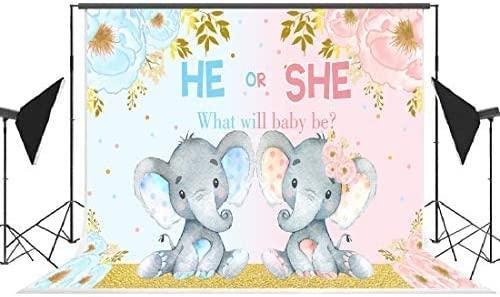 Elephant Gender Reveal Baby Shower Photo Backdrop Pink or Blue Elephant Flower Background - Hibrides