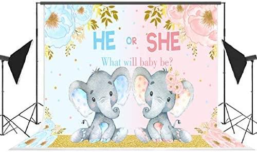 Elephant Gender Reveal Baby Shower Photo Backdrop Pink or Blue Elephant Flower Background - Hibrides