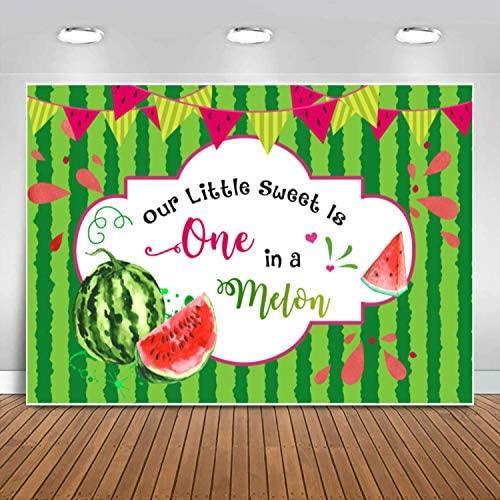 Pink Watermelon Baby Shower Backdrop Summer One in A Melon Watercolor Watermelon Theme Photography Background - Hibrides