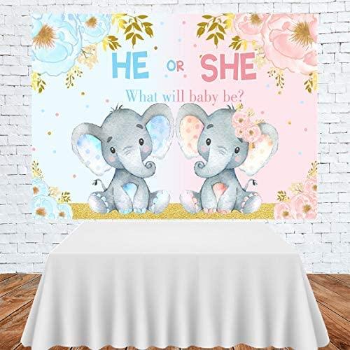 Elephant Gender Reveal Baby Shower Photo Backdrop Pink or Blue Elephant Flower Background - Hibrides