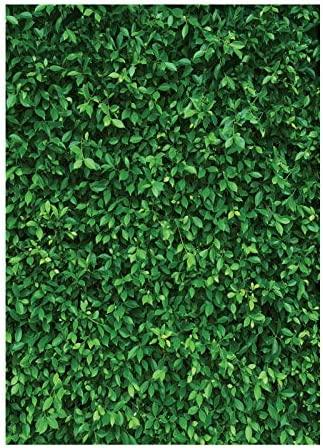 7x5FT Green Leaves Photography Backdrops Nature Backdrop Birthday Background - Hibrides