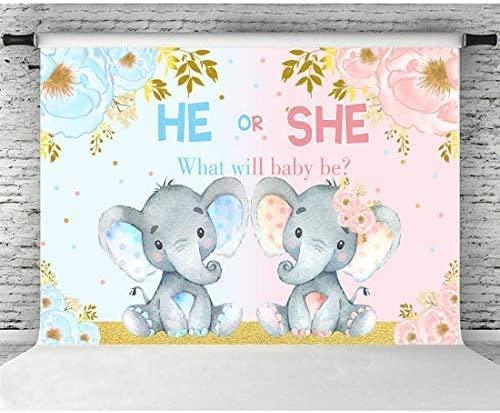 Elephant Gender Reveal Baby Shower Photo Backdrop Pink or Blue Elephant Flower Background - Hibrides