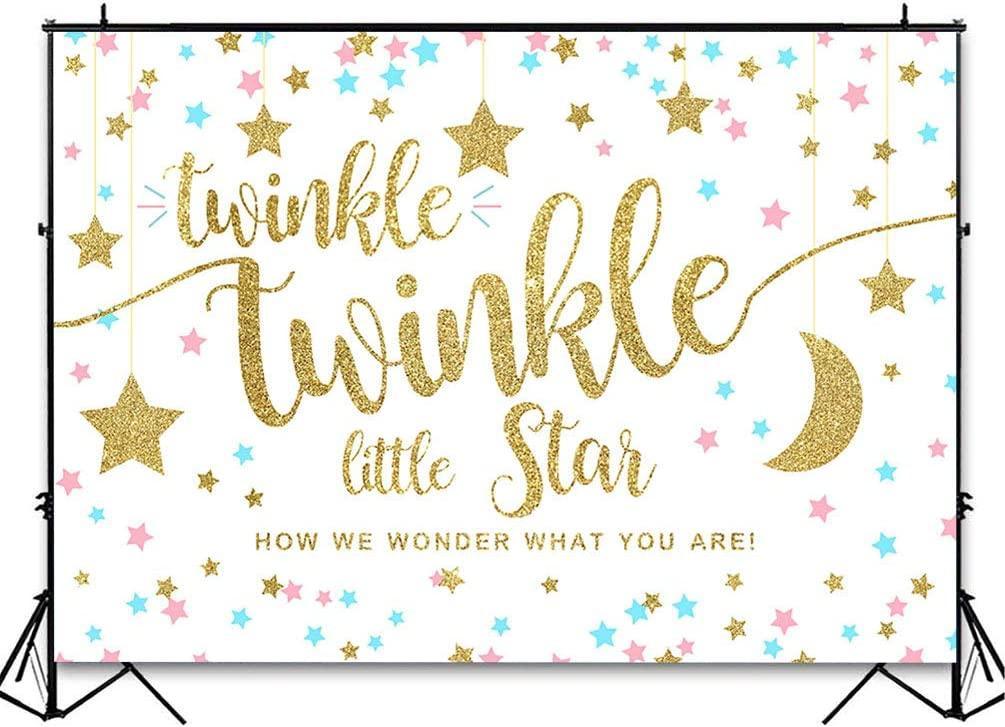 Twinkle Twinkle Little Star Gender Reveal Backdrop Pink Blue Gold Star Party Decorations - Hibrides