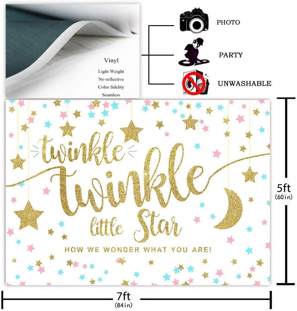 Twinkle Twinkle Little Star Gender Reveal Backdrop Pink Blue Gold Star Party Decorations - Hibrides