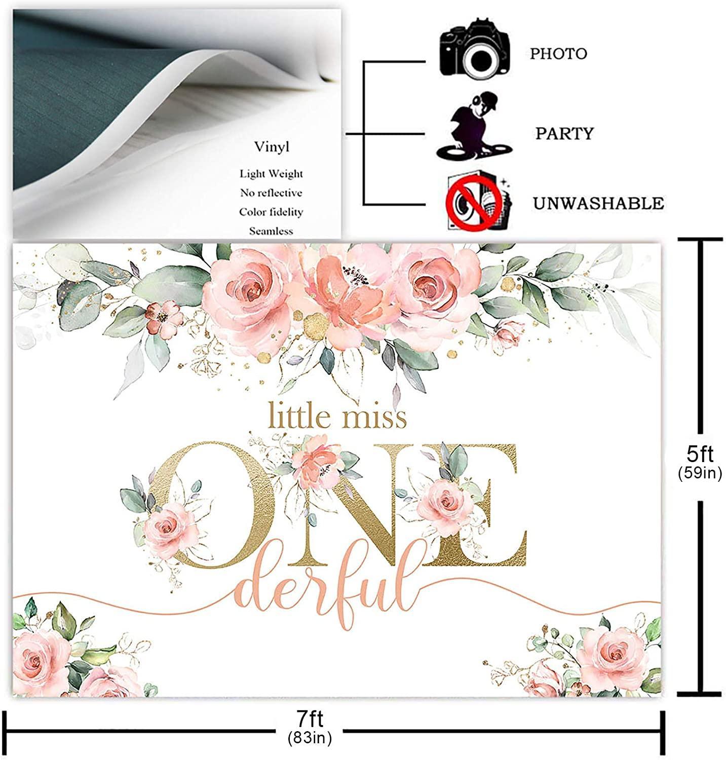 Blush Pink Floral 1st Birthday Party Backdrop for Girl Miss Onederful Party Photography Background - Hibrides