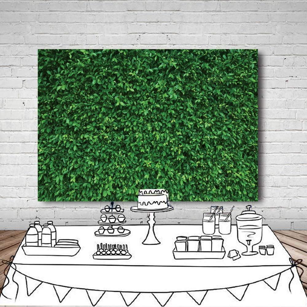 7x5FT Green Leaves Photography Backdrops Nature Backdrop Birthday Background - Hibrides