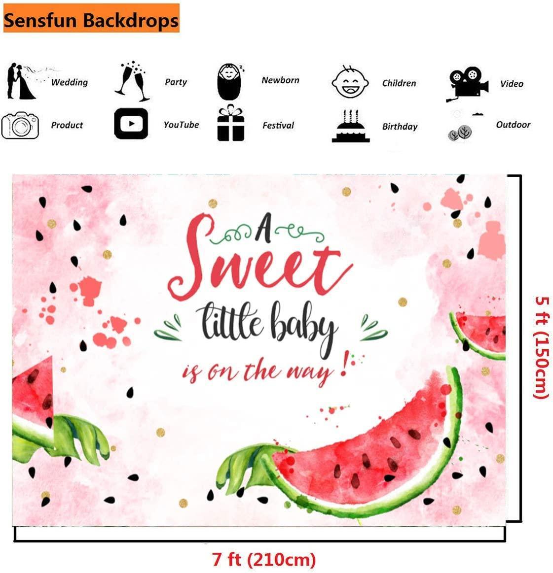 Pink Watermelon Baby Shower Backdrop Summer One in A Melon Watercolor Watermelon Theme Photography Background - Hibrides