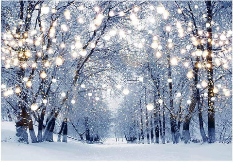 Winter Scene Backdrop Wonderland Snowflake Photography Background - Hibrides