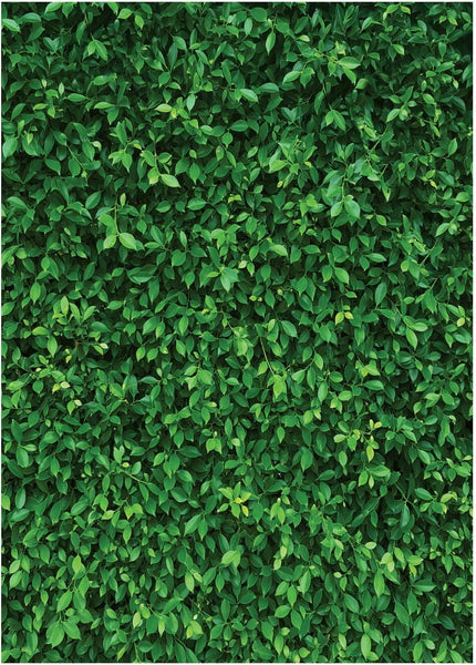 7x5FT Green Leaves Photography Backdrops Nature Backdrop Birthday Background - Hibrides