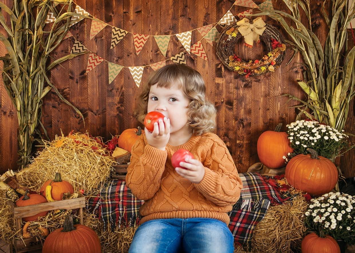 7x5FT Fall Thanksgiving Photo Backdrop Rustic Wood Board Barn Harvest Photography Background - Hibrides