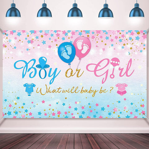 Gender Reveal Party Supplies Gender Reveal Background Boy or Girl Backdrop Blue Pink - Hibrides