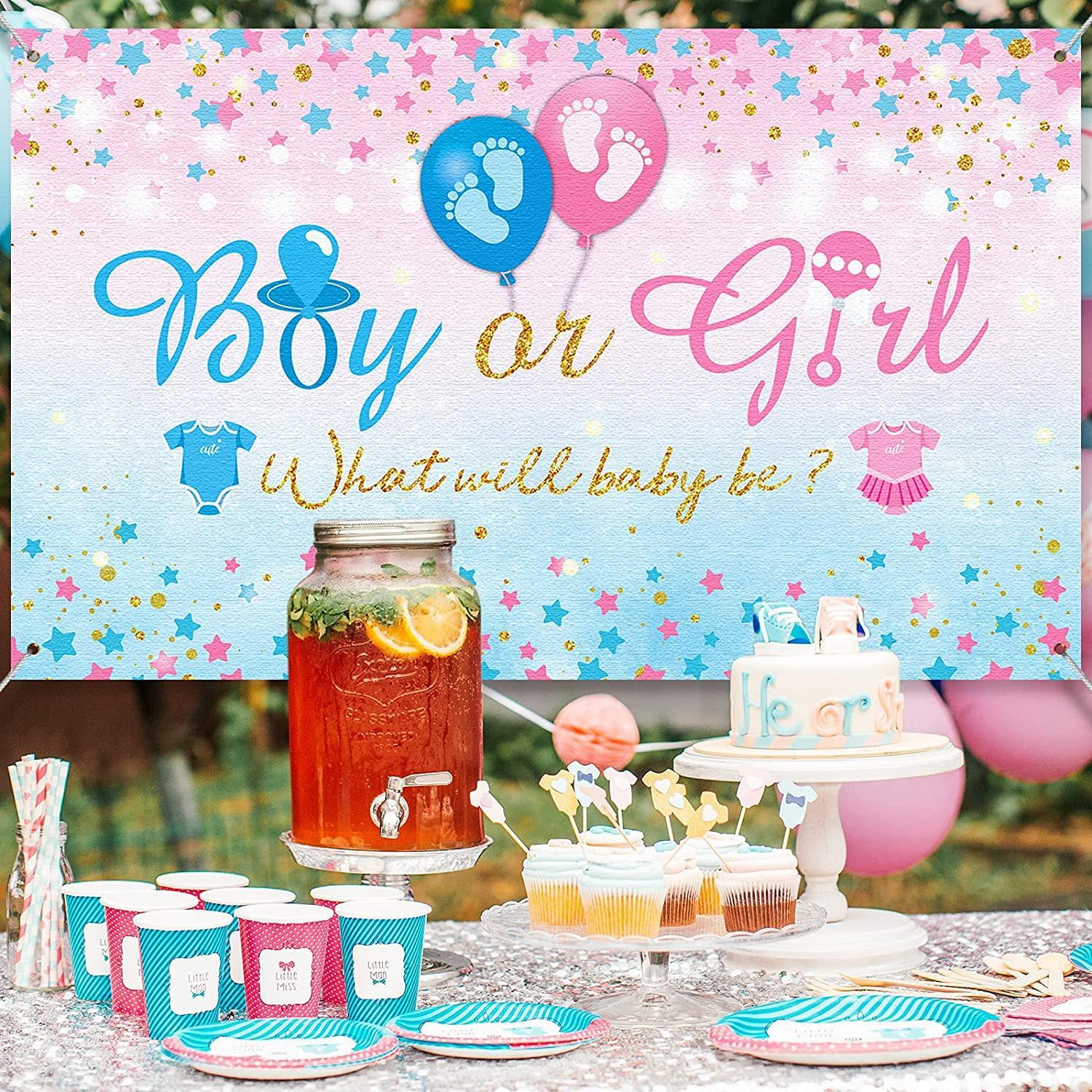 Gender Reveal Party Supplies Gender Reveal Background Boy or Girl Backdrop Blue Pink - Hibrides