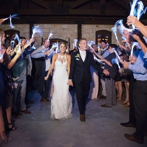 Lighted Fiber Optic Wands for Wedding Send-off, Anniversary Celebrations 