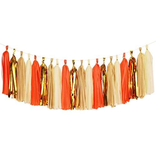 Tissue Paper Tassels Banner for Wedding Baby Shower and Bridal Shower Decorations - Hibrides