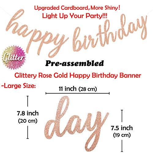 Rose Gold Birthday Party Decorations with Happy Birthday Banner and Tissue Pom Poms - Hibrides