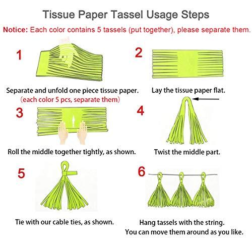 Tissue Paper Tassels Banner for Wedding Baby Shower and Bridal Shower Decorations - Hibrides