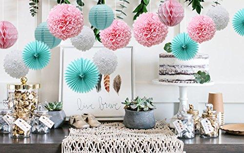16pcs Pom Poms Flowers Paper Lanterns Hanging Tissue Fan for Bridal Shower - Hibrides