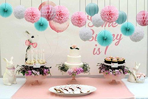 16pcs Pom Poms Flowers Paper Lanterns Hanging Tissue Fan for Bridal Shower - Hibrides