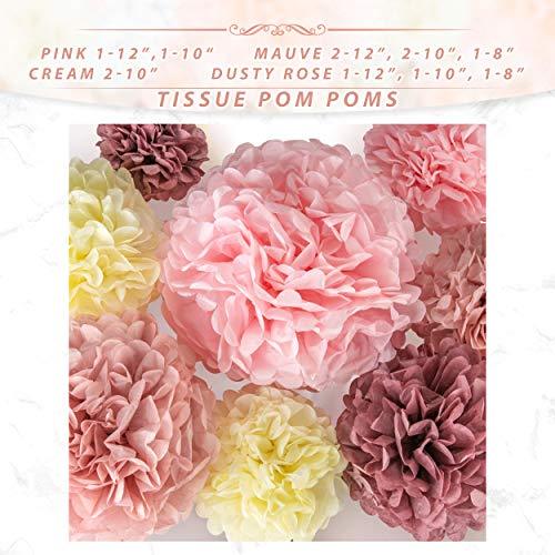 22pcs Hanging Tissue Paper Pom Poms for Birthday Party and Wedding - Hibrides