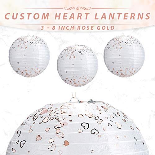 22pcs Hanging Tissue Paper Pom Poms for Birthday Party and Wedding - Hibrides