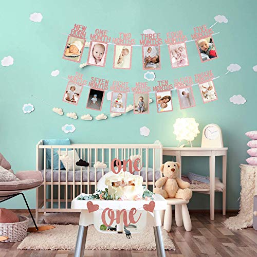 Rose Gold 1st Birthday Baby Photo Banner for First Birthday Party Decoration - Hibrides