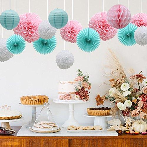 16pcs Pom Poms Flowers Paper Lanterns Hanging Tissue Fan for Bridal Shower - Hibrides