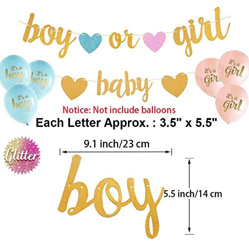 Gender Reveal Party Decorations - Glitter Letters Baby Boy or Girl Banners - Hibrides