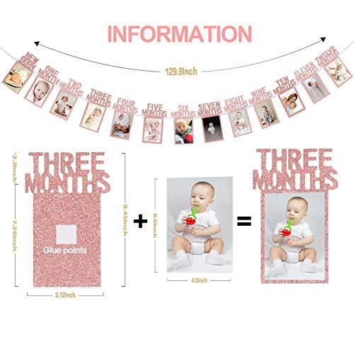 Rose Gold 1st Birthday Baby Photo Banner for First Birthday Party Decoration - Hibrides