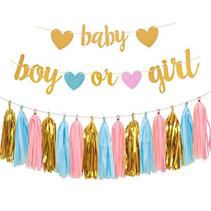 Gender Reveal Party Decorations - Glitter Letters Baby Boy or Girl Banners - Hibrides
