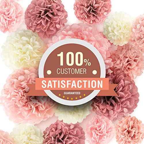 22pcs Hanging Tissue Paper Pom Poms for Birthday Party and Wedding - Hibrides