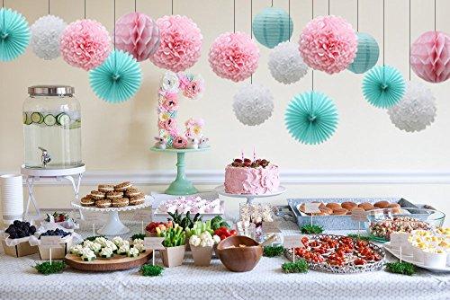 16pcs Pom Poms Flowers Paper Lanterns Hanging Tissue Fan for Bridal Shower - Hibrides